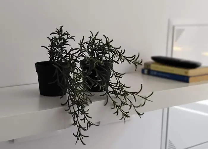 Am Chinorros Square. アパート *